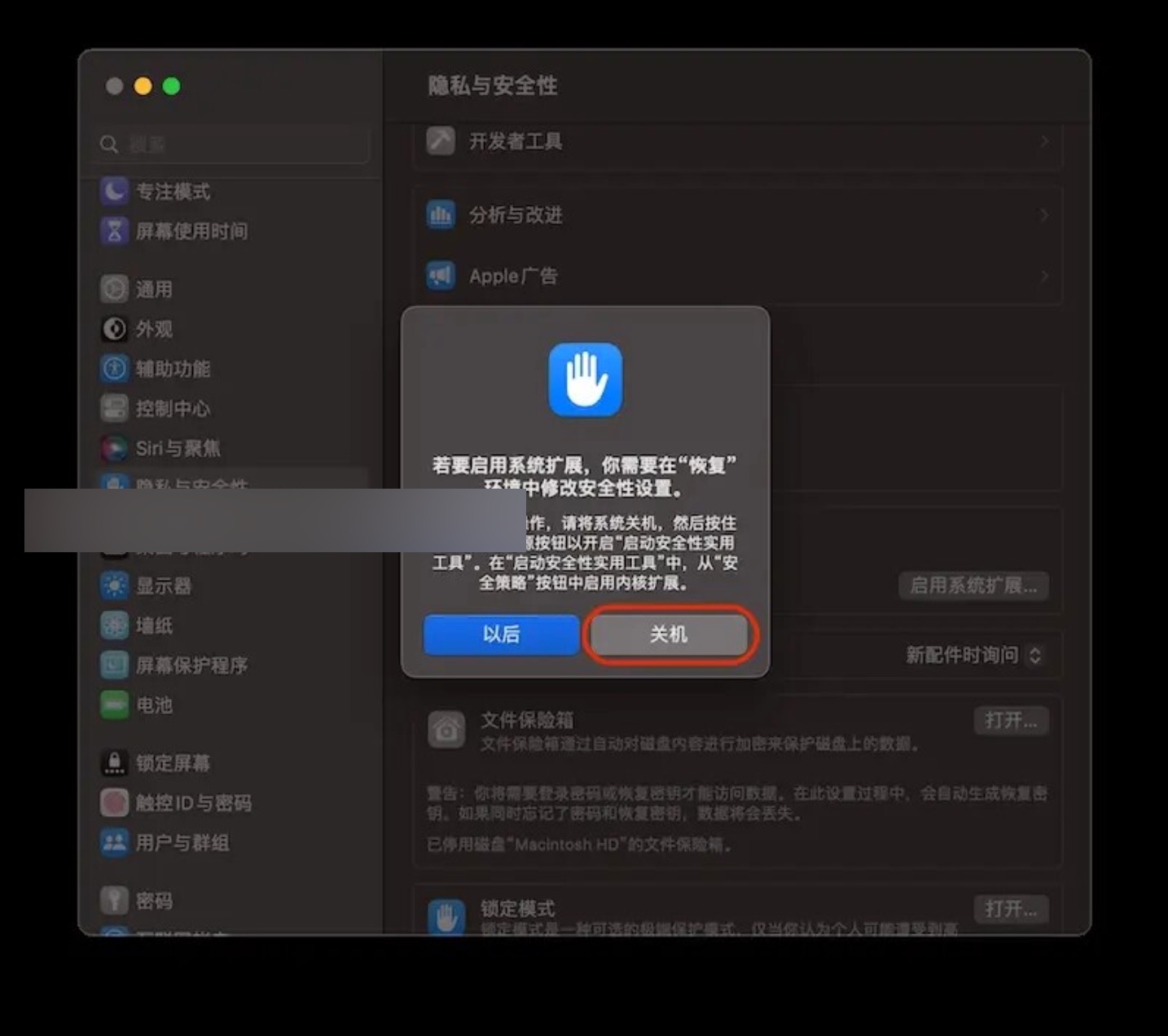 mac新系统内核扩展,apple芯片