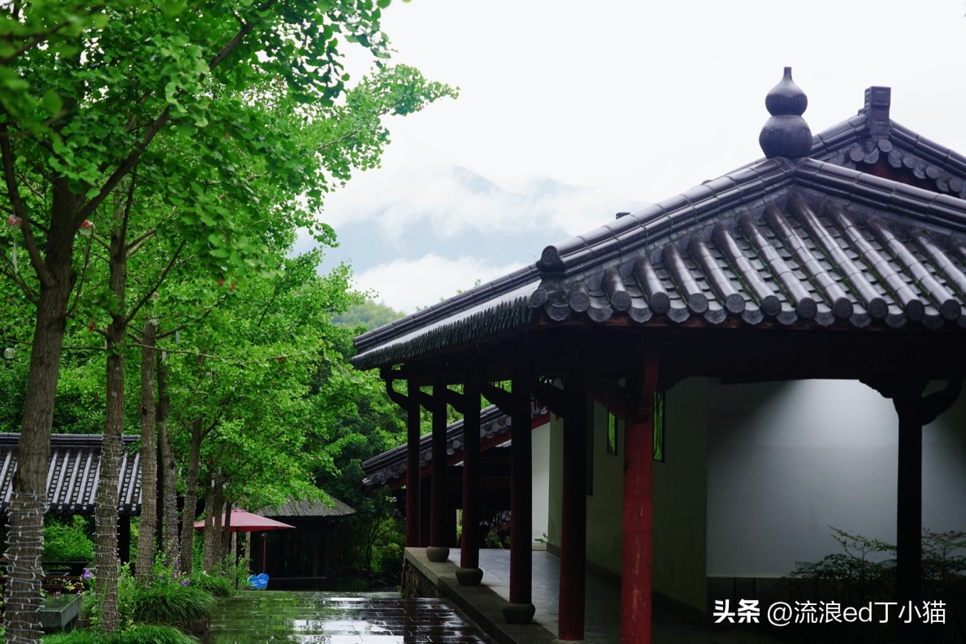 夏日避暑胜地杭州周边推荐,杭州五天避暑胜地全攻略