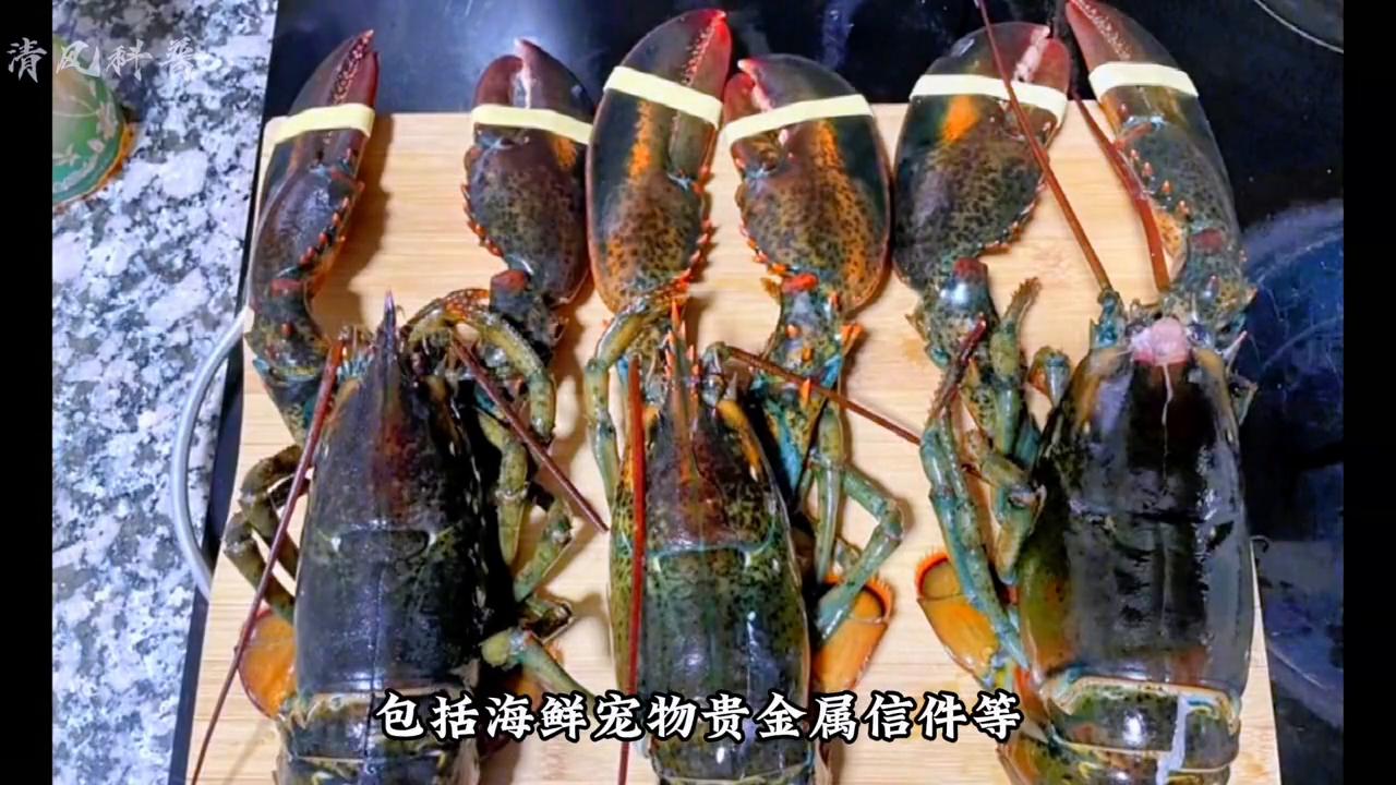 双尾蝎大型无人机的优势,tb-001双尾蝎大型察打一体无人机