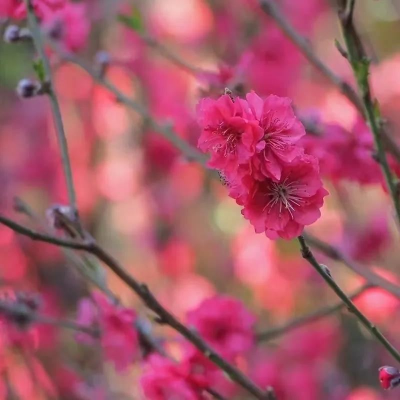 读《琼崖热土》，忆红卫《起航》