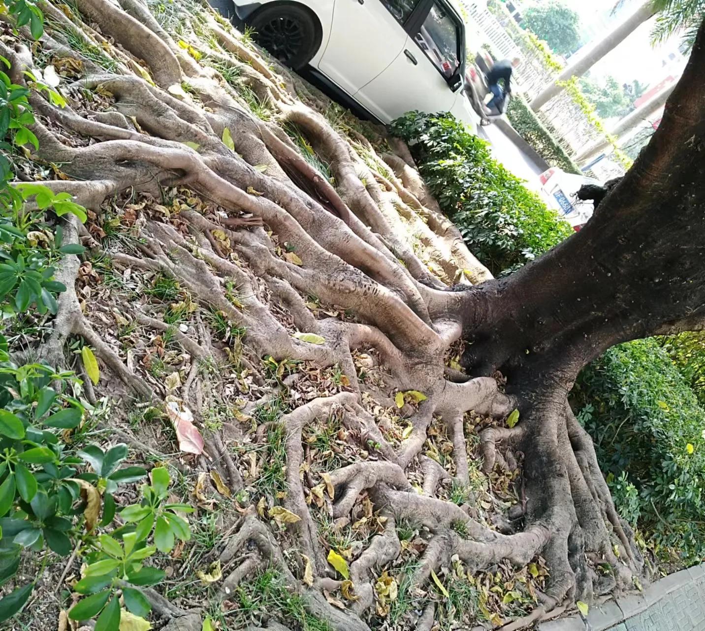 游记北海,游记南宁北海