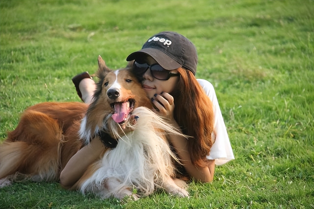 养公狗的5大好处你知道吗,养公狗的这些优势你知道吗