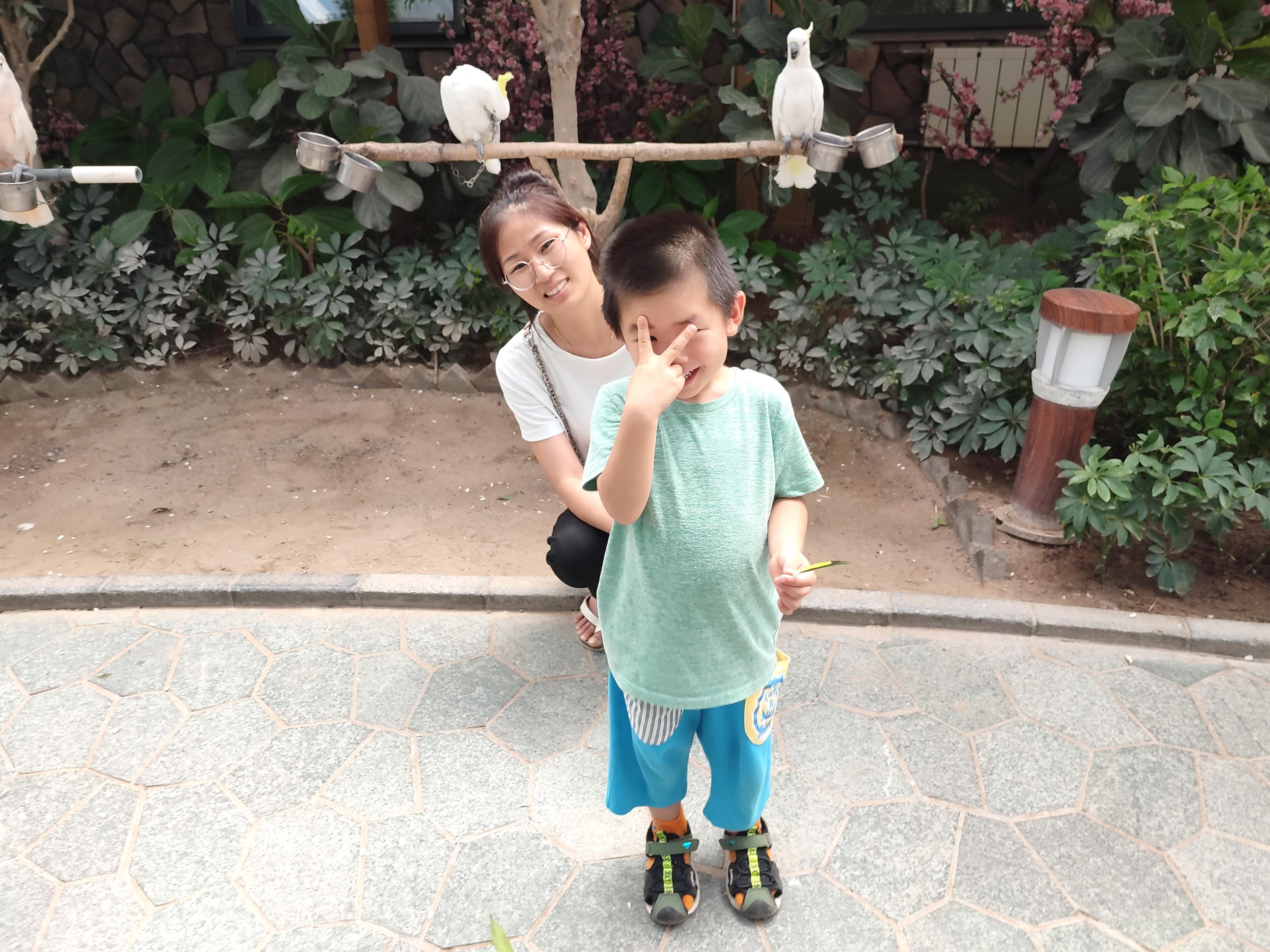 北京植物观赏区,北京植物森林公园