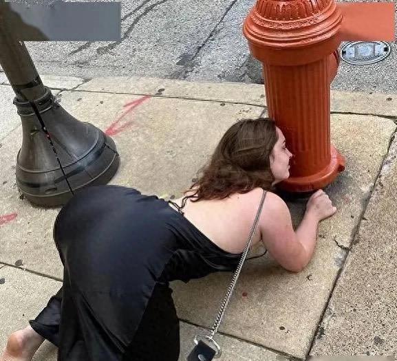 北大学生包丽案件结果,北大包丽虐待案