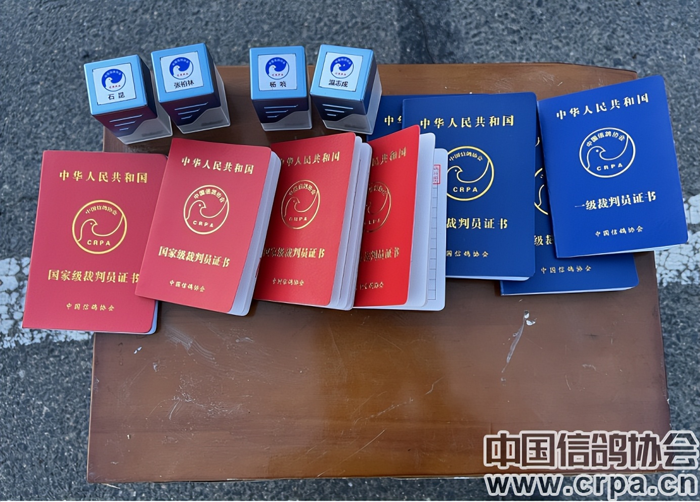 联翔2023夏季赛程,2020年国家赛信鸽1000公里联翔