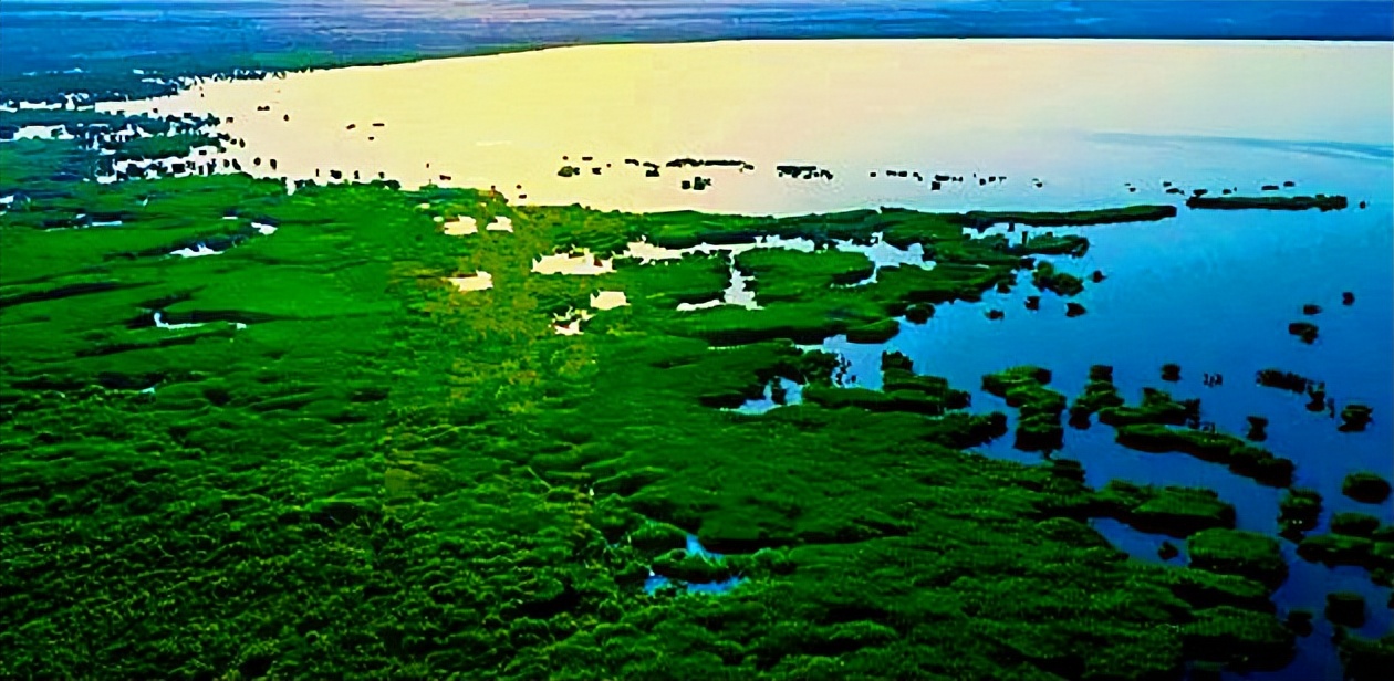 *疆新**十日6：与魔共舞，携鬼同歌