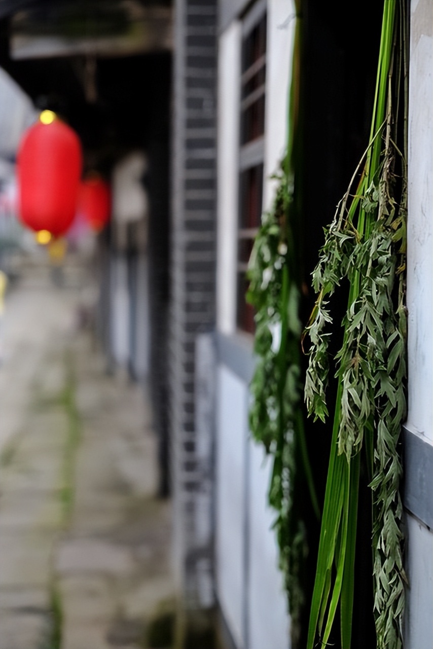 端午节挂艾草挂好了能换地方吗,端午哪三种家庭不能挂艾草