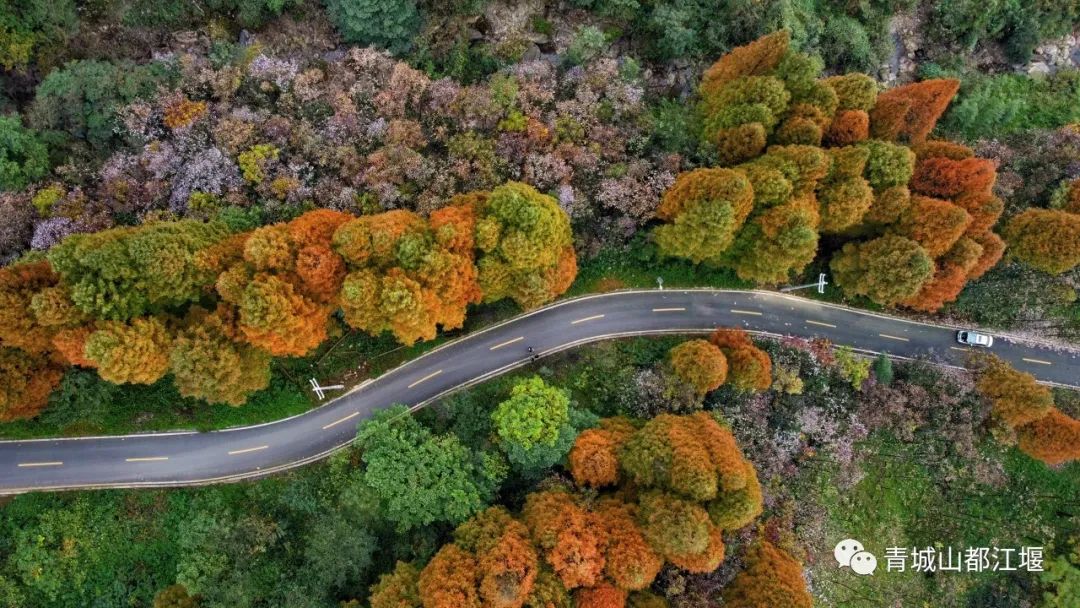 立冬气温仅13℃!快来领取都江堰专属的『入冬四件套』,品围炉暖食、享竹林温泉......成都1.5h直达~