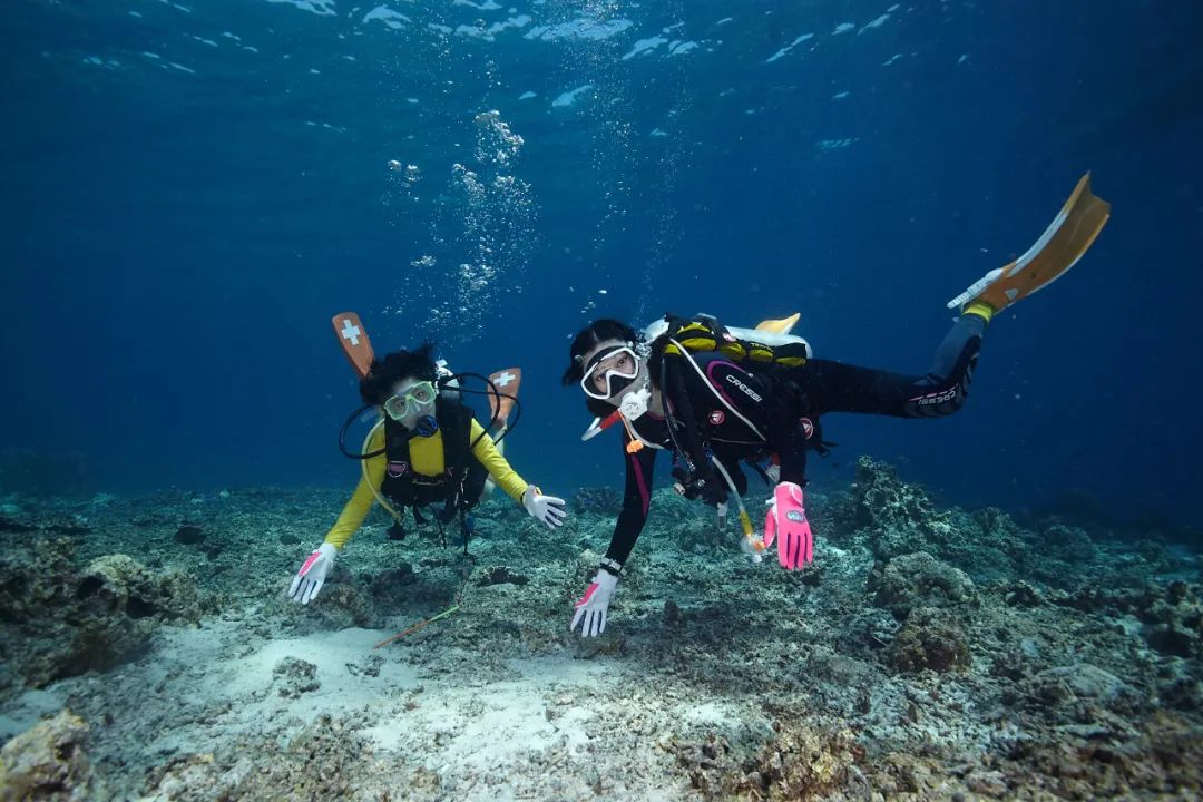 冬天潜水对身体的伤害,潜水水温对人体的影响