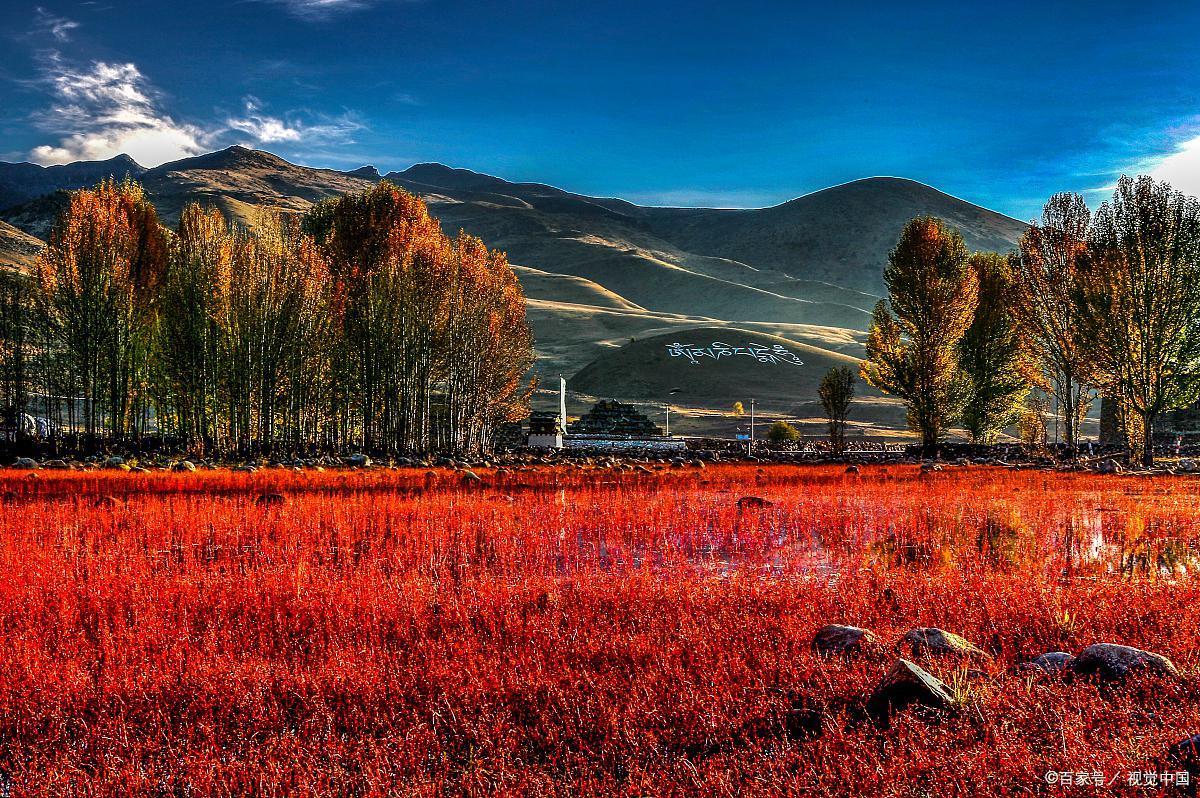 稻城亚丁差评视频,稻城亚丁真实的评价