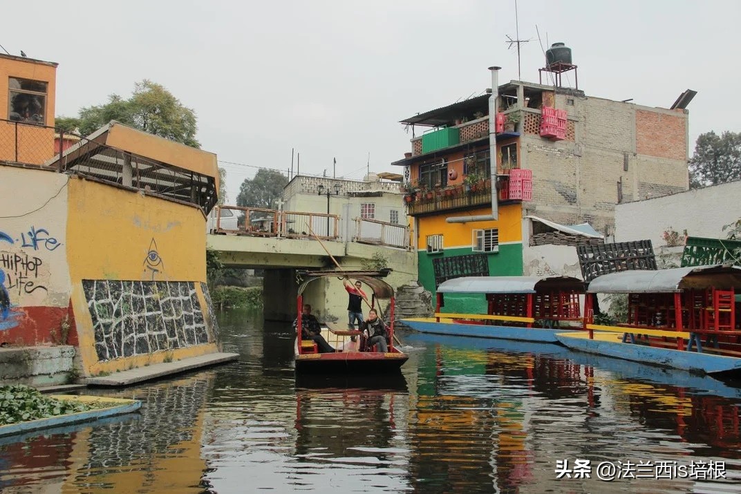 广州海关查获濒危红珊瑚制品348件,广州海关查获六角恐龙