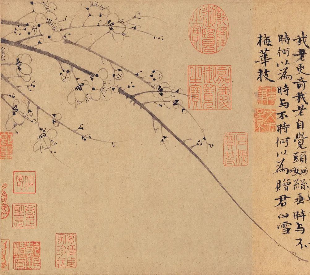 慕容看世界的视频,慕容看世界所有视频