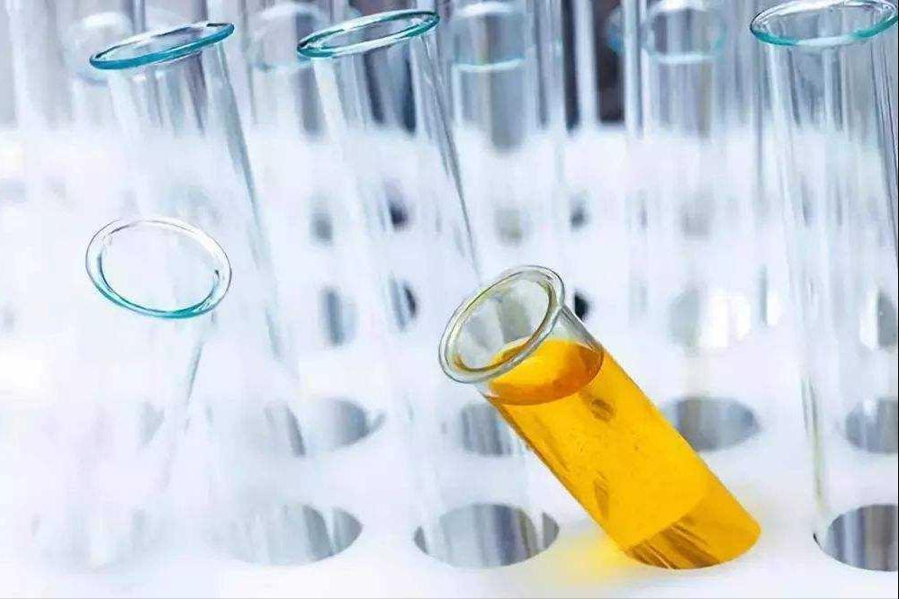 糖尿病肾病气阴两虚型食疗药膳,糖尿病肾病引起腹泻用什么中成药