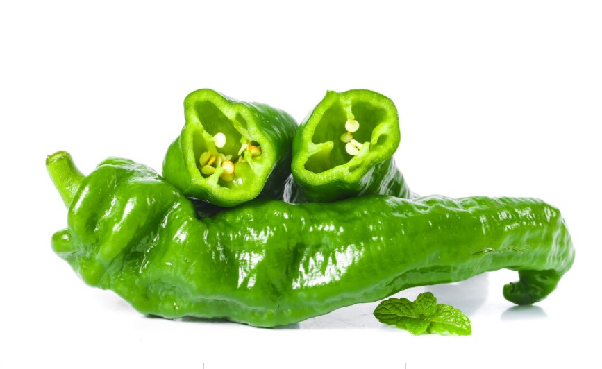 澧ㄨタ鍝ヤ粰浜烘帉鍥藉害,澧ㄨタ鍝ヤ粰浜烘帉涓嬬殑鍥藉害