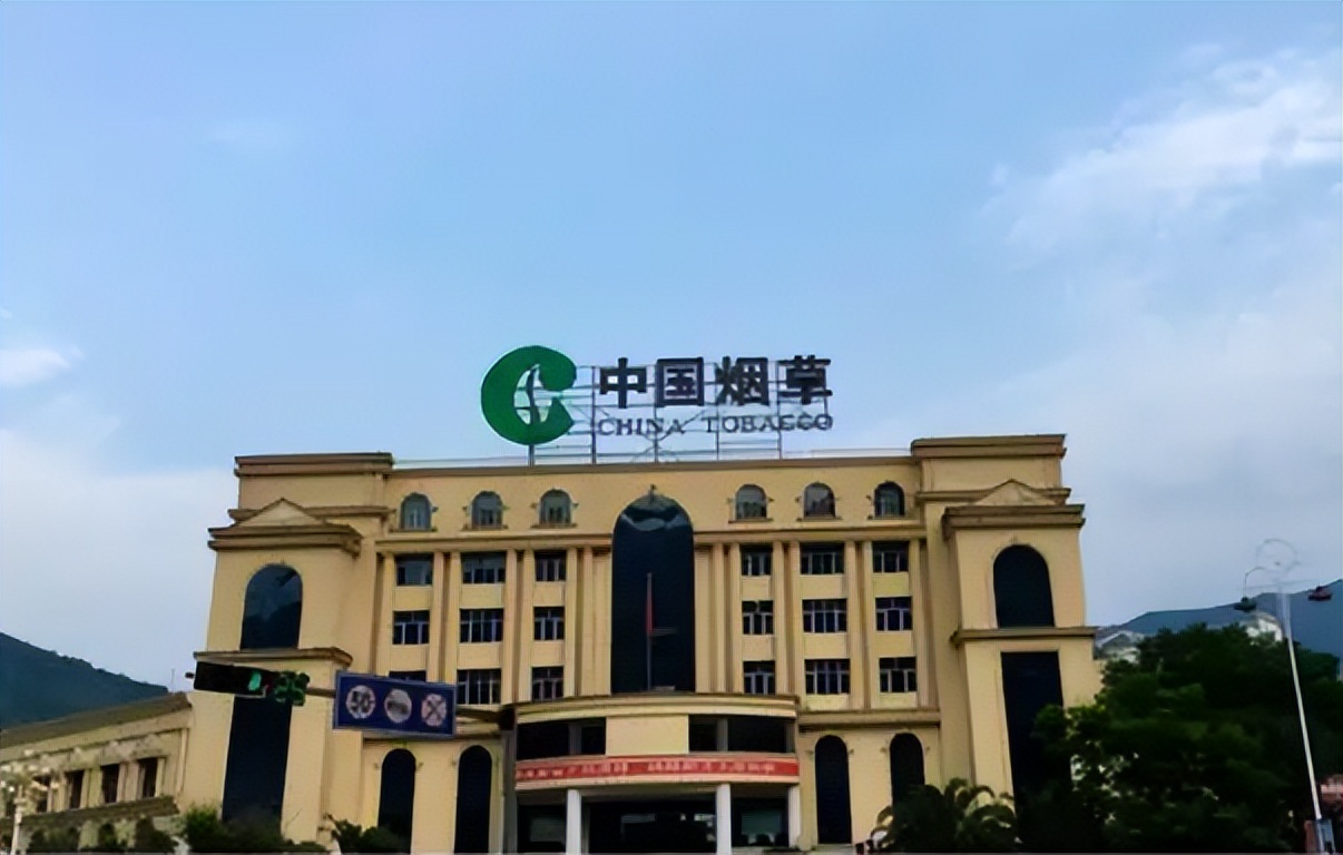 毕业生入职中国*草烟**,晒出工资条惹人羡慕,公积金太“秀”了