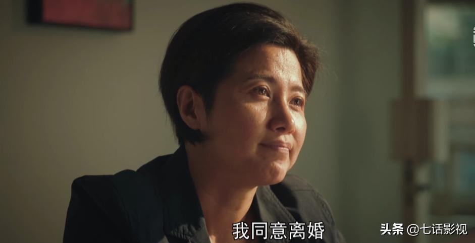 国内最新现代谍战剧《对手》,谍战剧对手角色