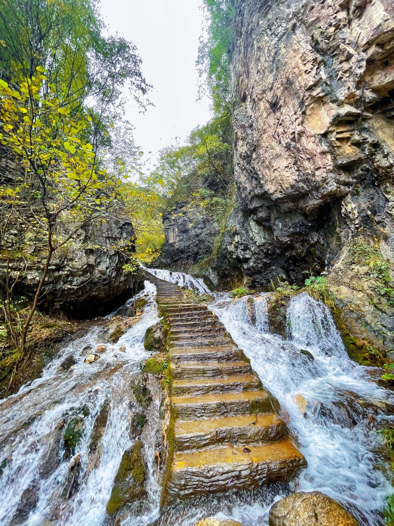 洛阳博物馆剧本杀,洛阳剧本体验馆