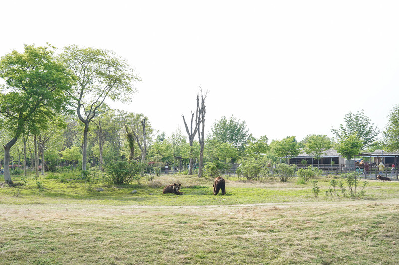 宿州两日游,宿州旅游攻略三日游