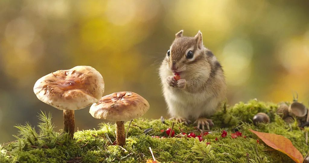 盘点2023年最受欢迎的小说类型,推荐几部2023年小说