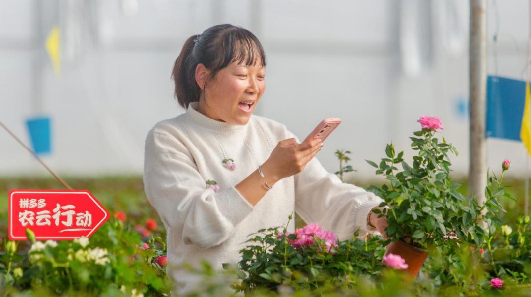 拼多多财报助农战疫高歌猛进,财报解读万亿拼多多机会在哪里