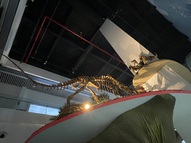 昆明一座让人流连忘返的城市,被低估的旅游城市昆明