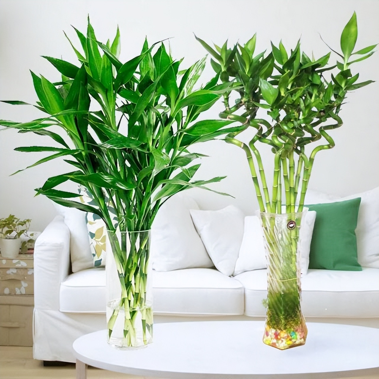 过期的各种药片混在一起浇花好吗,四种过期药片可以浇花