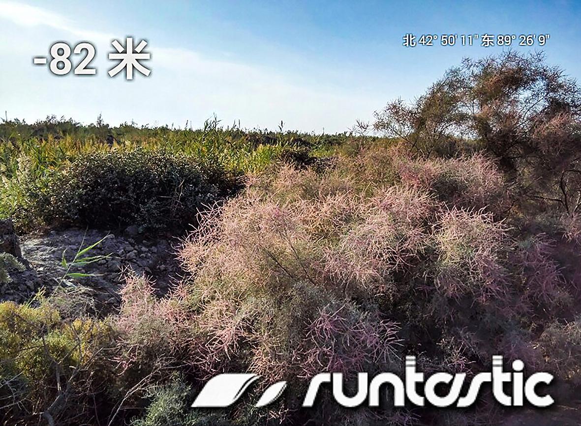 女司机带娃去新疆自驾游,带着女司机自驾游兰州