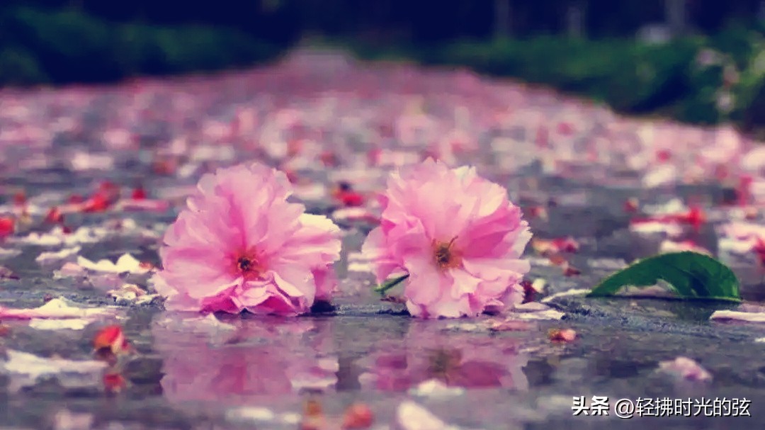 中国著名诗词大全集,诗词十大最美巅峰之作