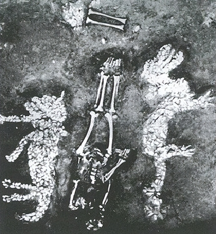 天文历法与数字,历法天象常识