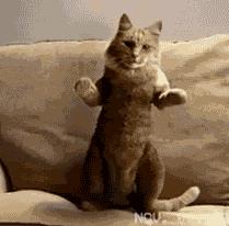 为什么跷二郎腿会疼,吃饭喜欢跷二郎腿是怎么回事