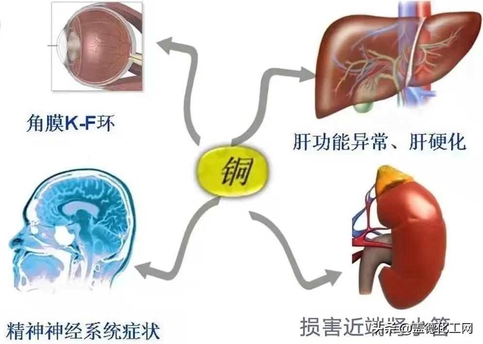 “贩毒”妈妈求药成功，葵花药业引进儿童罕见病用药