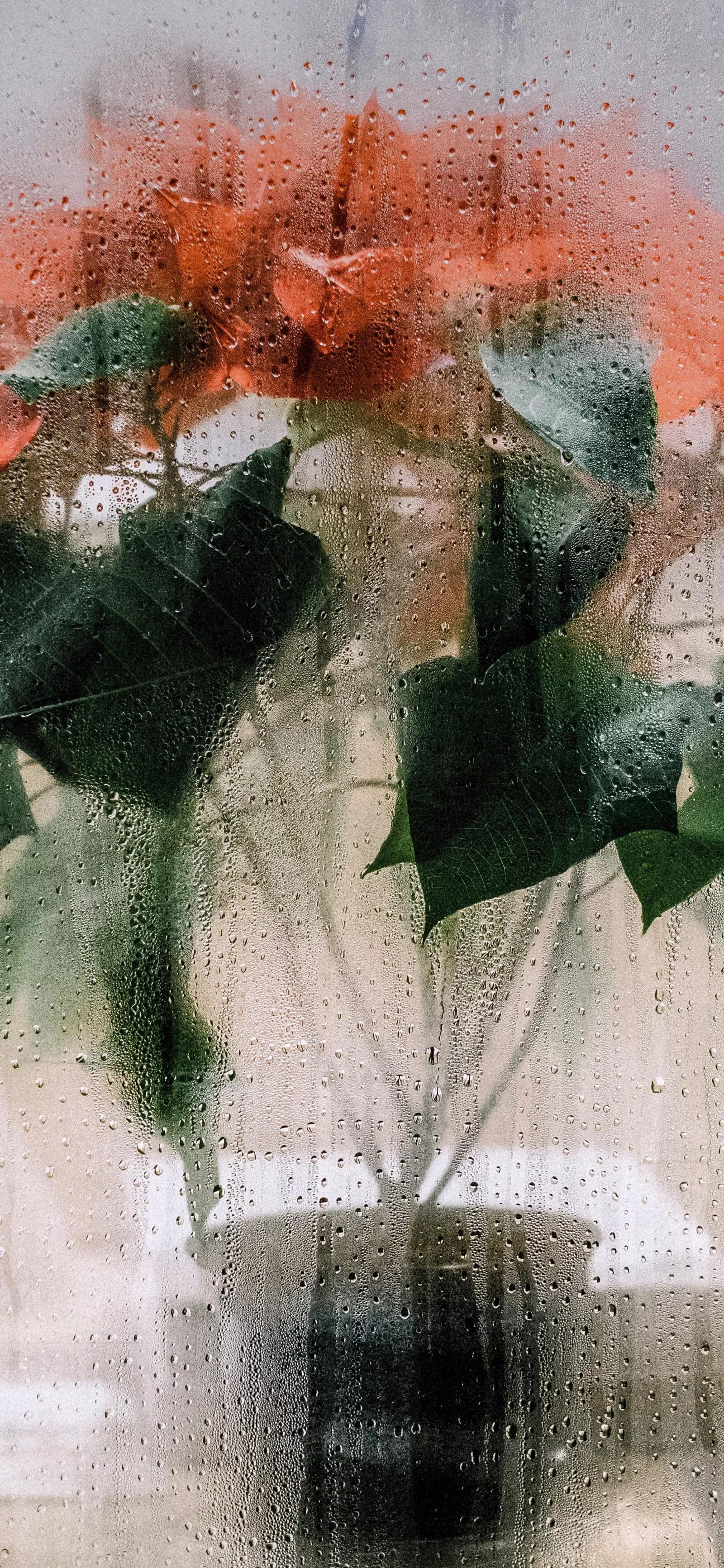 高清壁纸图片全屏干净高级,男士专用黑色美女全屏壁纸