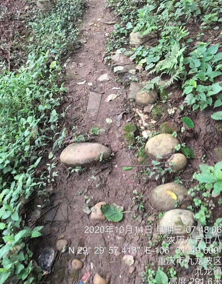 重庆主城最早古人类活动遗址被发现,会不会真的与三星堆有联系?