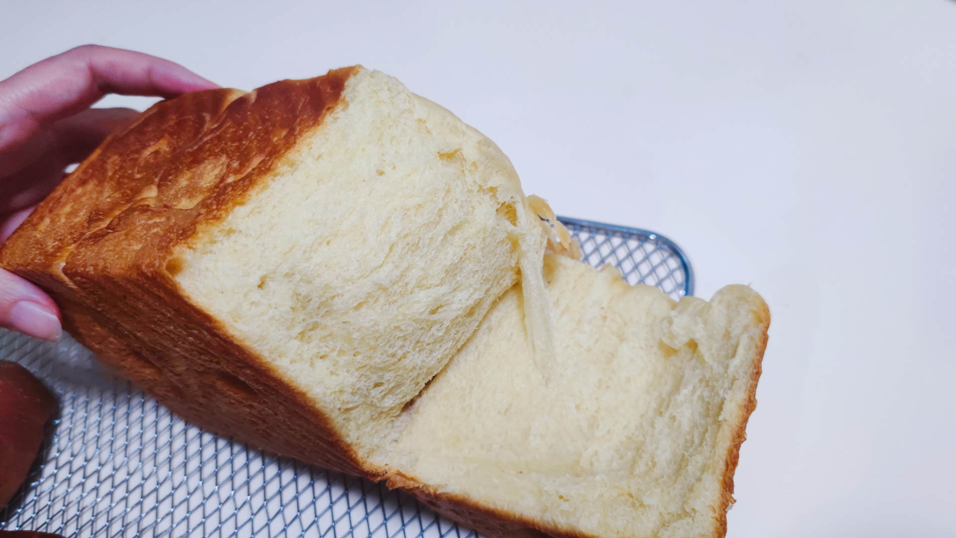 大白鲸烤箱f40,长帝f40大白鲸风炉平炉