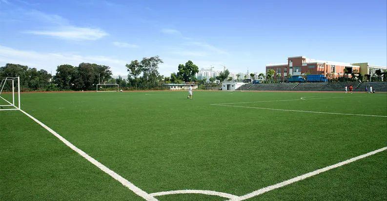 5人制人工草足球场,五人场的天然草足球场