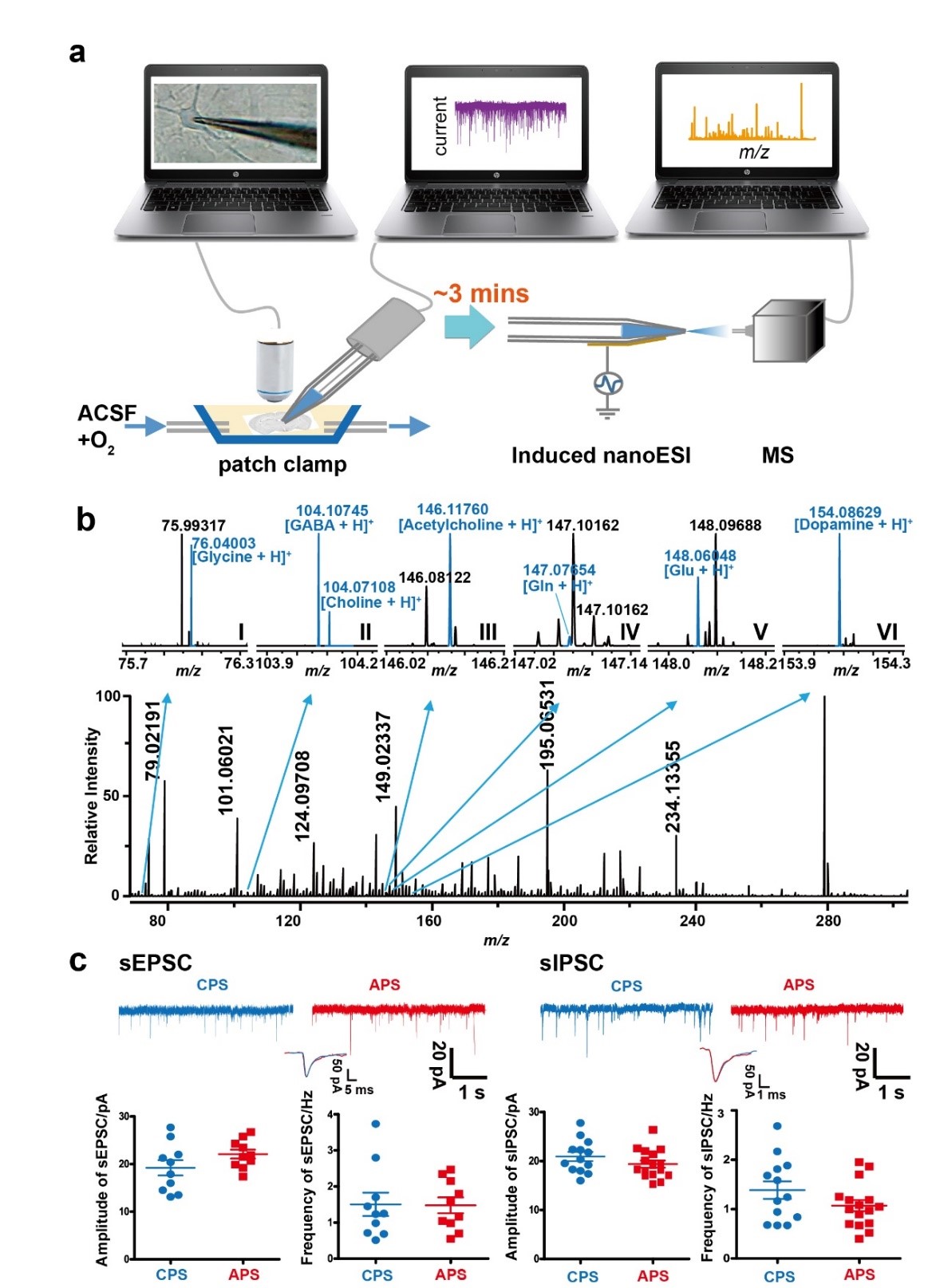 太子参医用植物的有效成分研究与药理学评估