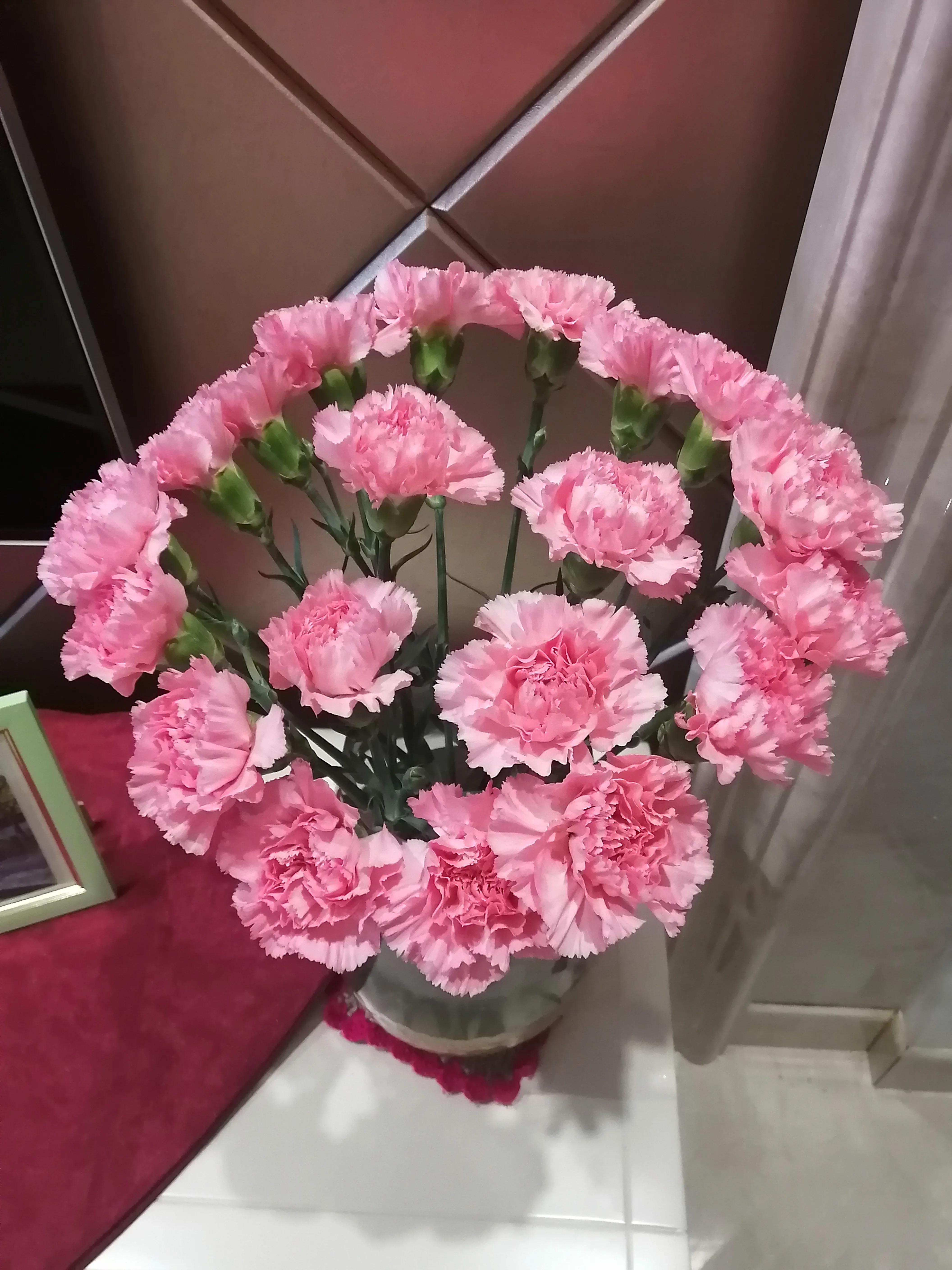 古筝独特魅力视频,古筝和琵琶哪个更有魅力