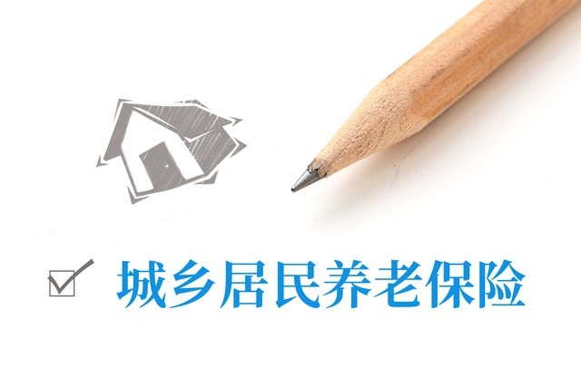 缴纳农村养老金档次是怎么划分的,农村养老金缴费档次及待遇