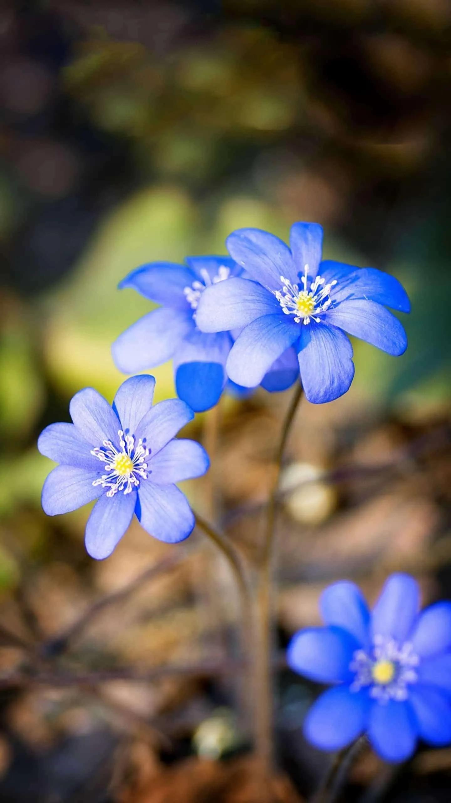 人一生要挑战的一百件事,人一辈子总要尝试各种艰难