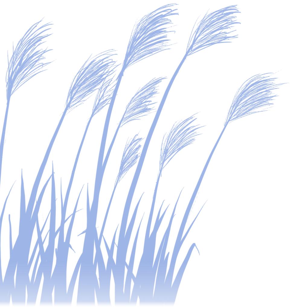 广东的多少分能上厦大,2019年要多少分才能进厦大