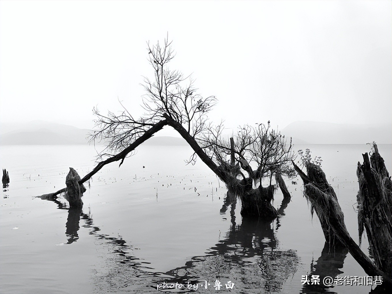 玩转云南自由行,昆明大理丽江6天5晚游多少钱