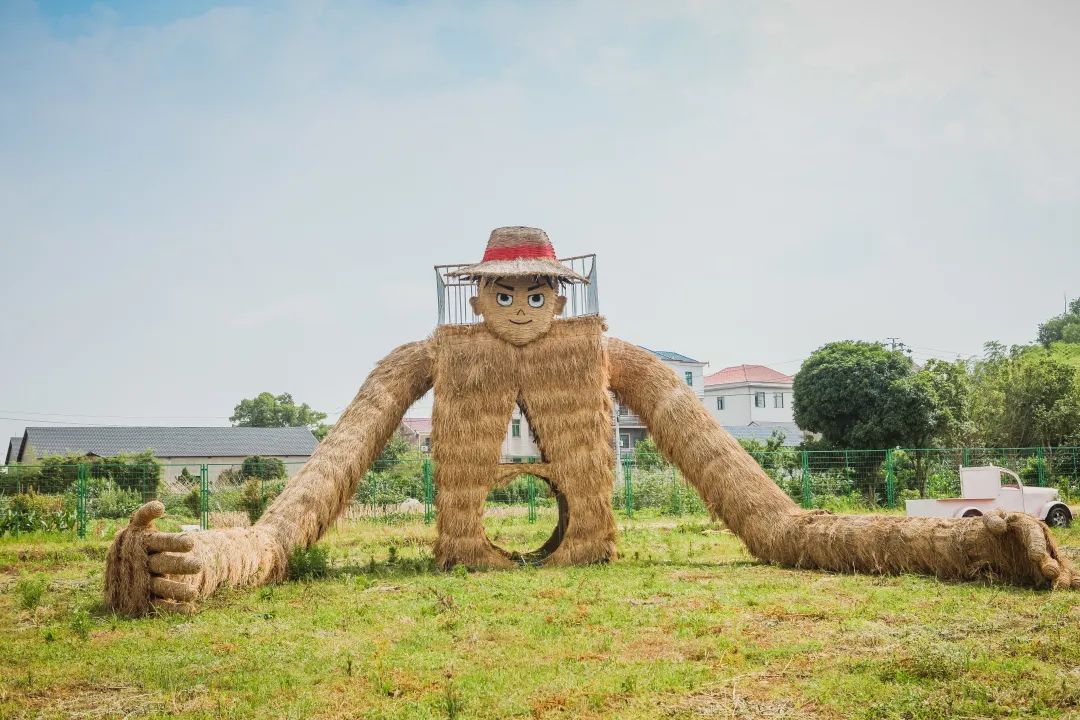 稻梦空间乡村生态观光园,稻梦空间采摘园