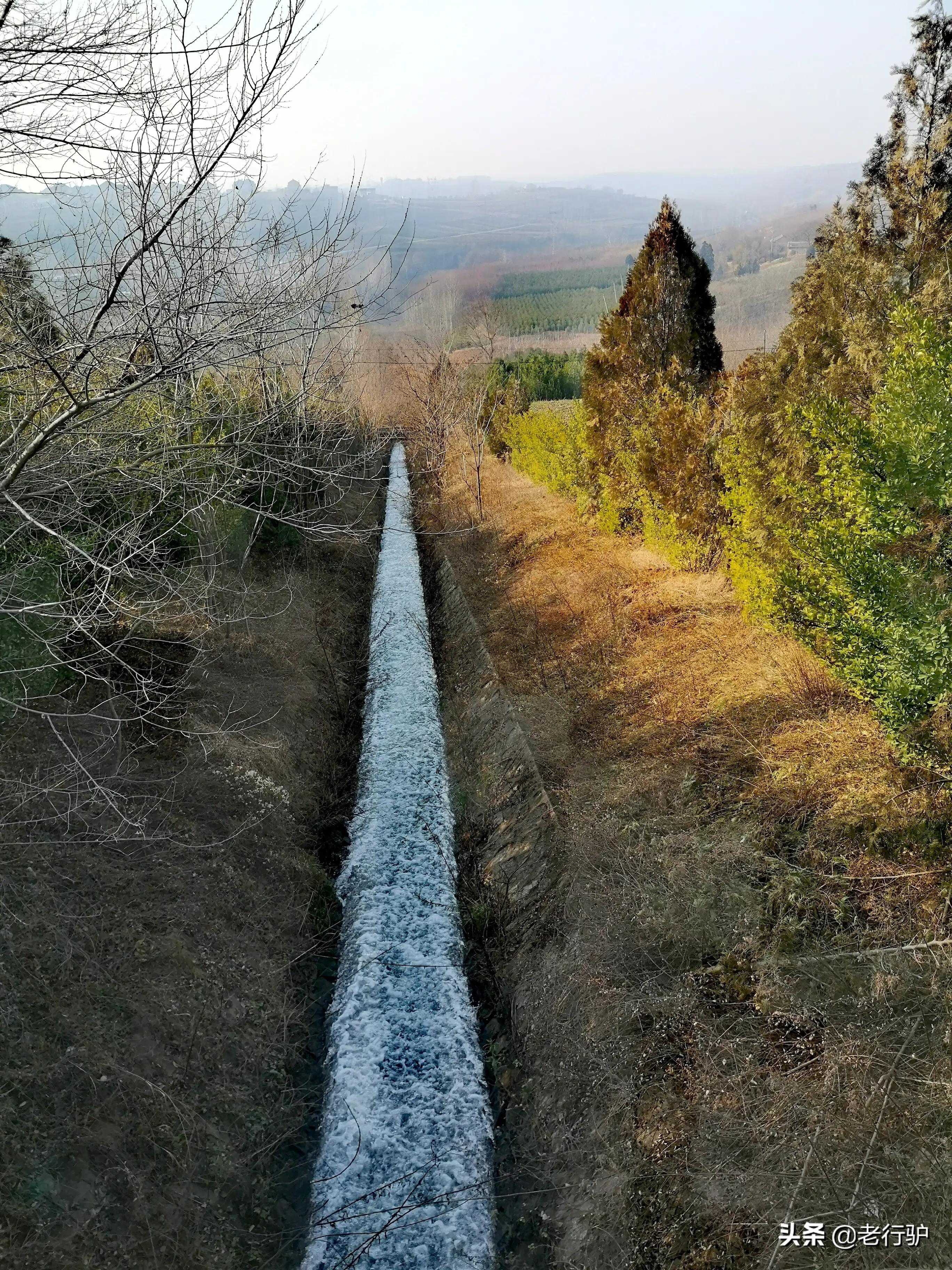 白鹿原白鹿白仙子,白鹿原的白灵和鹿兆海