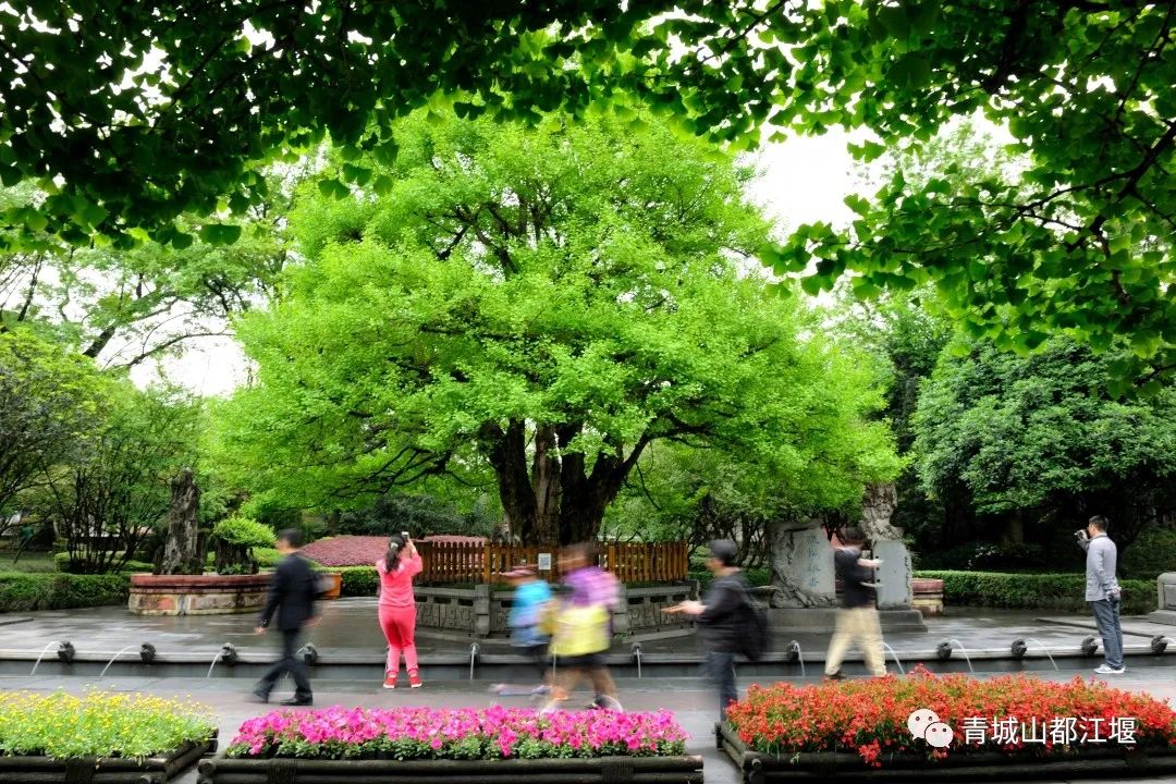 端午小长假怎么玩？水灵妹为你奉上超细致的都江堰深度游、休闲游、畅快游旅行攻略，绝对实用！