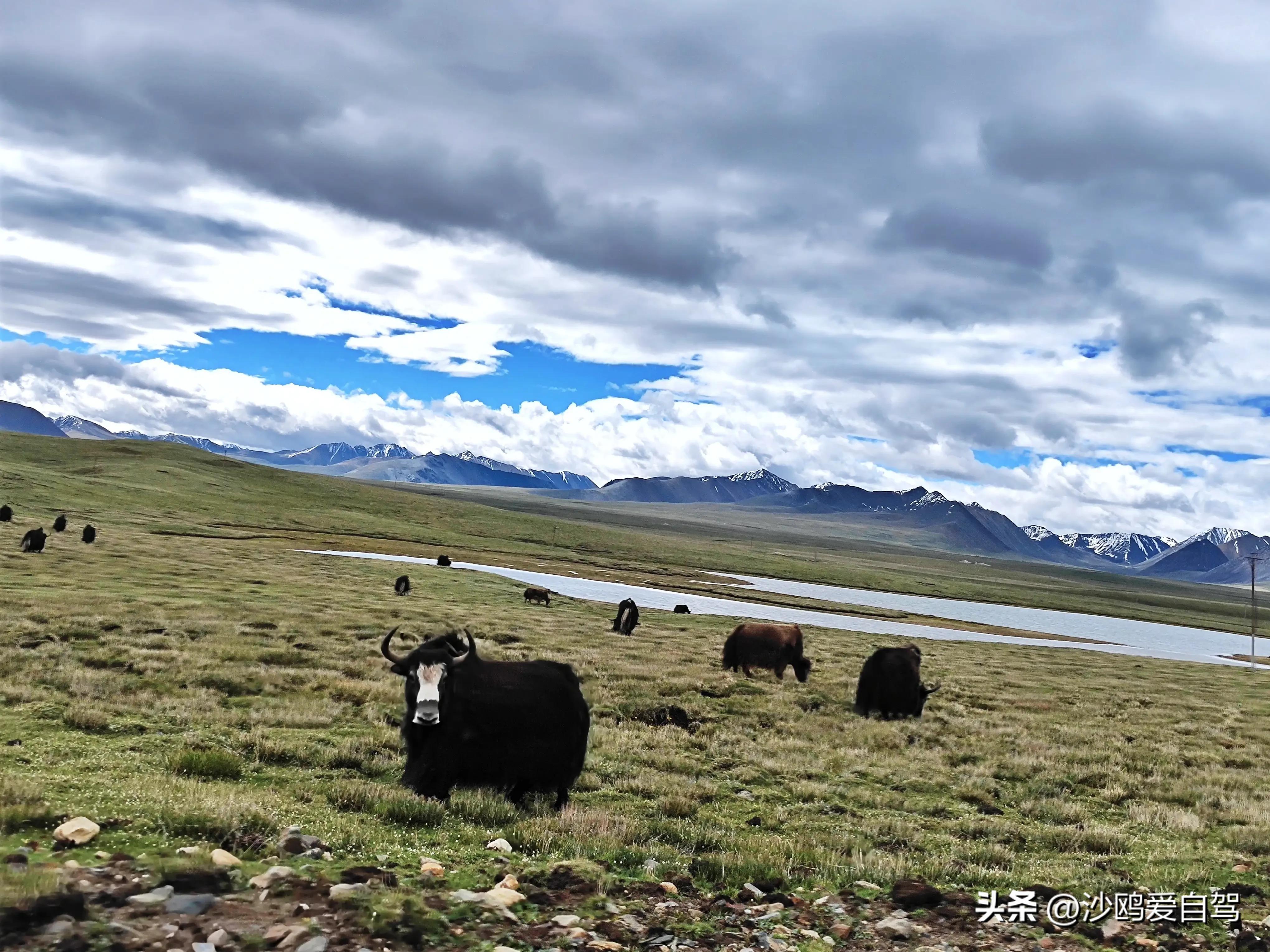 西藏自驾游三大圣湖,自驾西藏行摄之旅米堆冰川