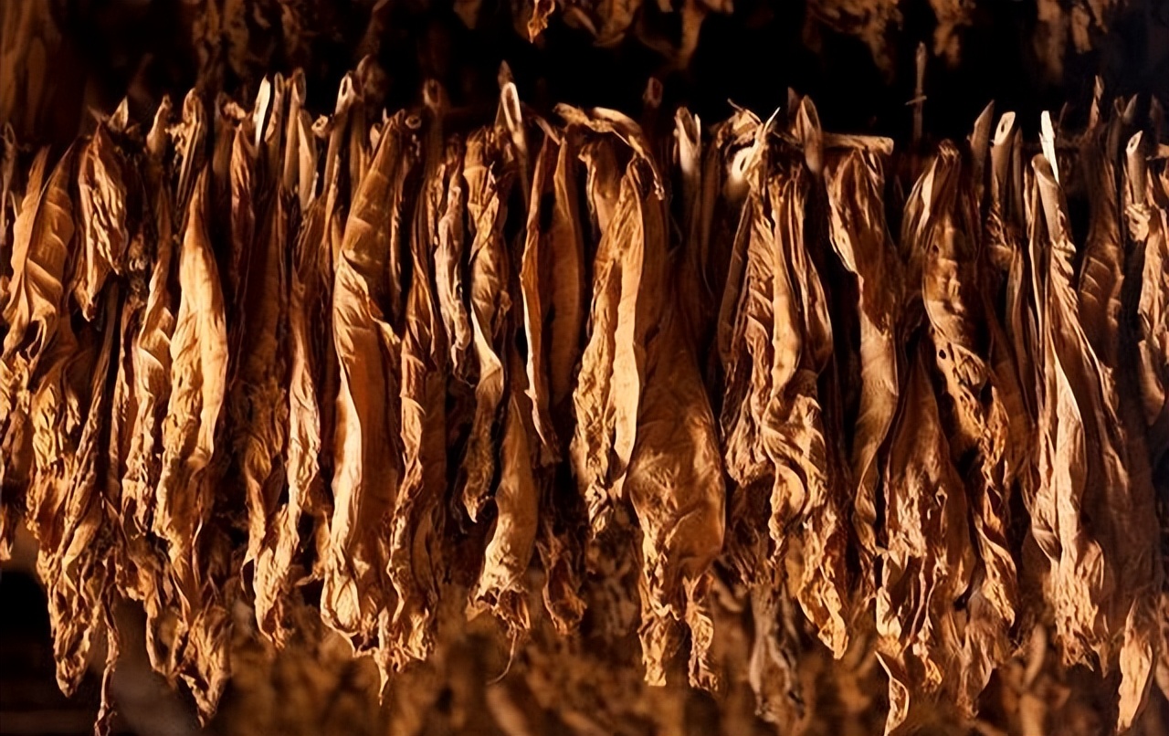 哥伦布发现了新大陆后世影响,哥伦布发现了美洲新大陆