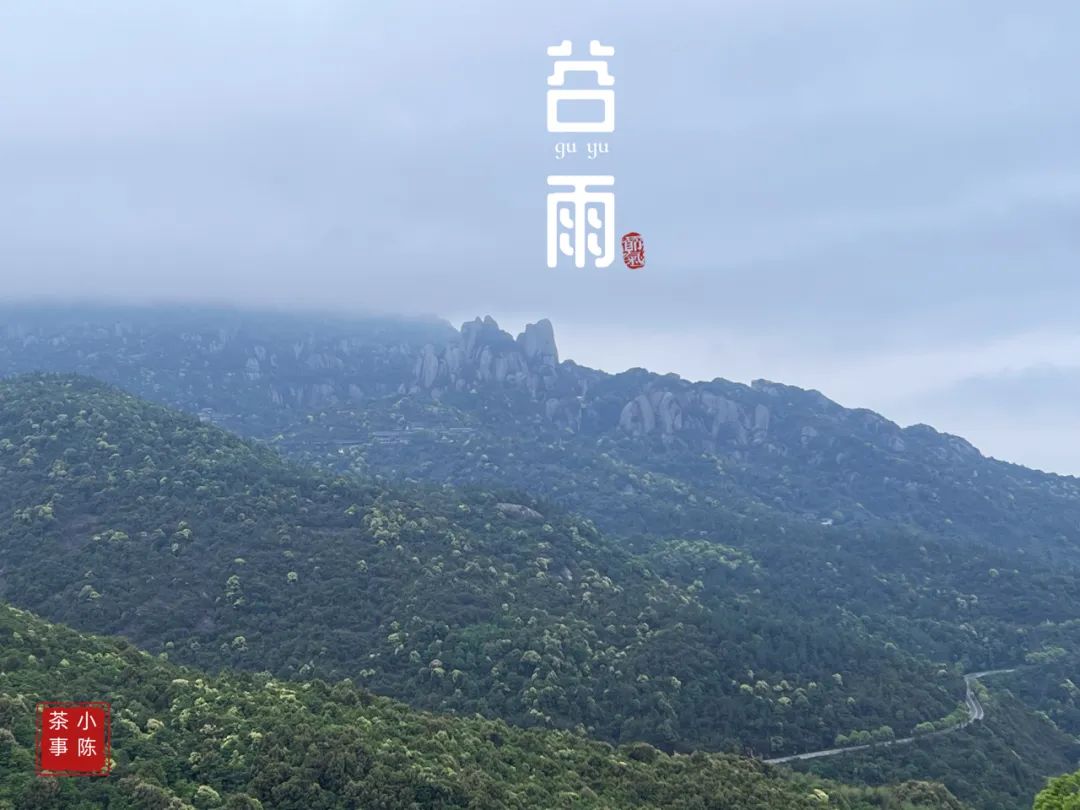 茶掌柜和入门级茶友,茶掌柜知识分享