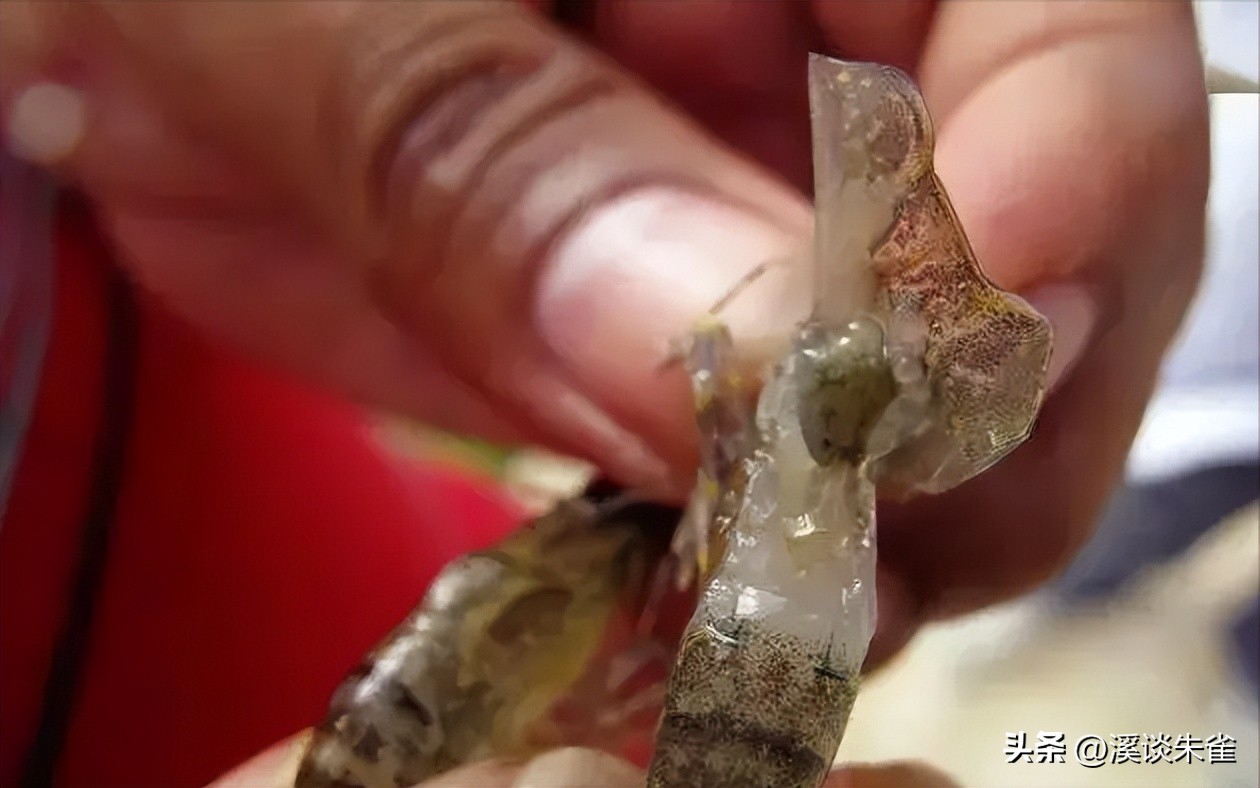 白斑病毒对对虾的影响,白对虾白斑病毒