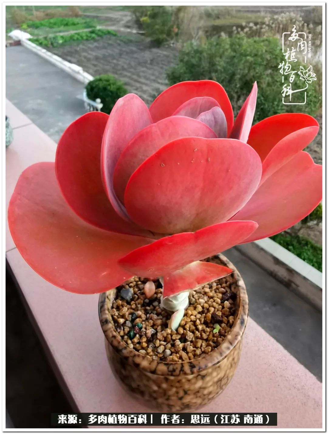 隔着时间的深爱，来自秋天的私语