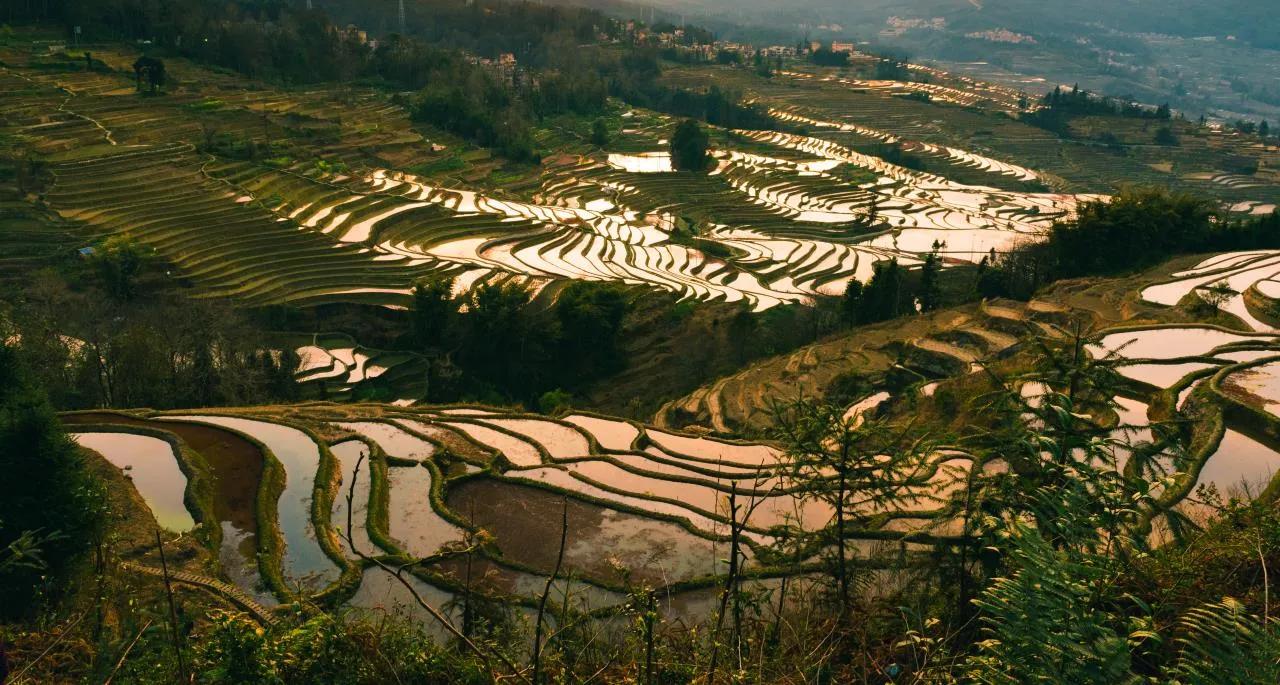 西双版纳10日行——走遍春夏秋冬，总会有人四季等你。